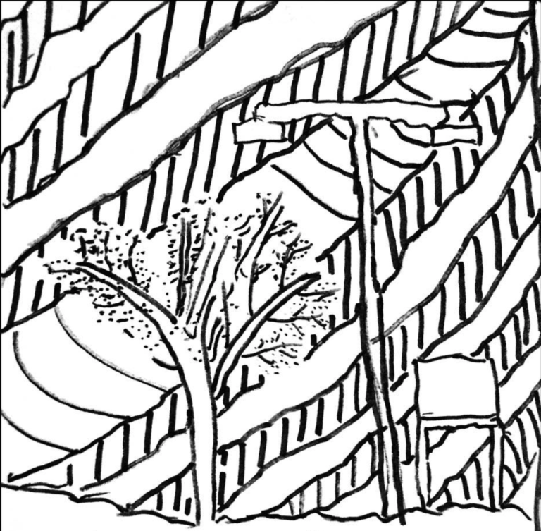 Screen-Shot-2023-07-24-at-6.11.59-PM